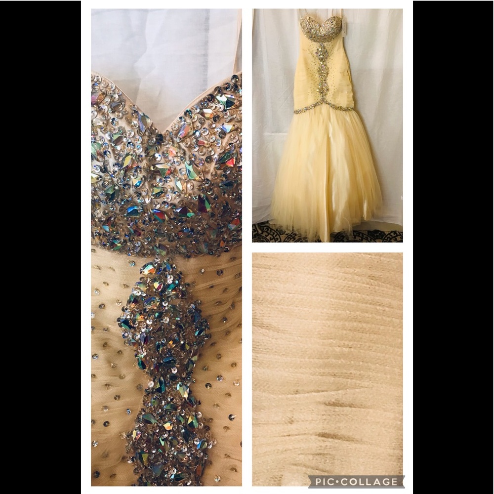 Anny Lee_New Strapless Beaded Chiffon Gown Size: X-Small_Champagne